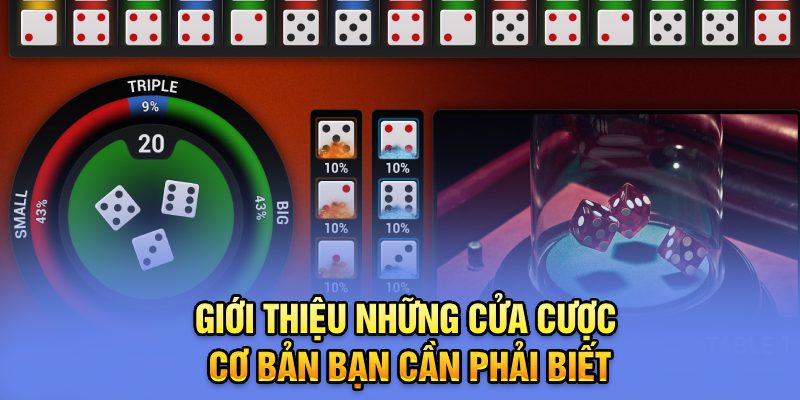 Giới thiệu những cửa cược cơ bản bạn cần phải biết